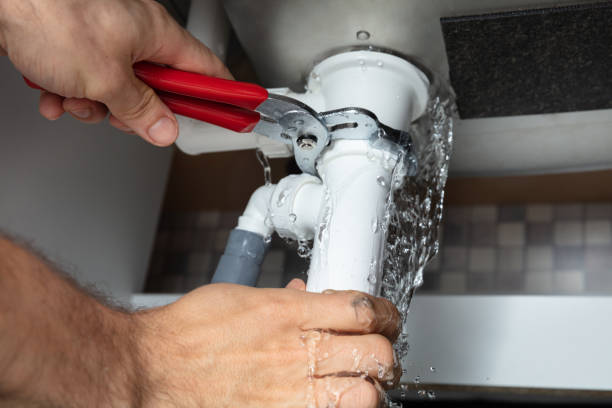 Best Professional water damage repair  in Mojave, CA