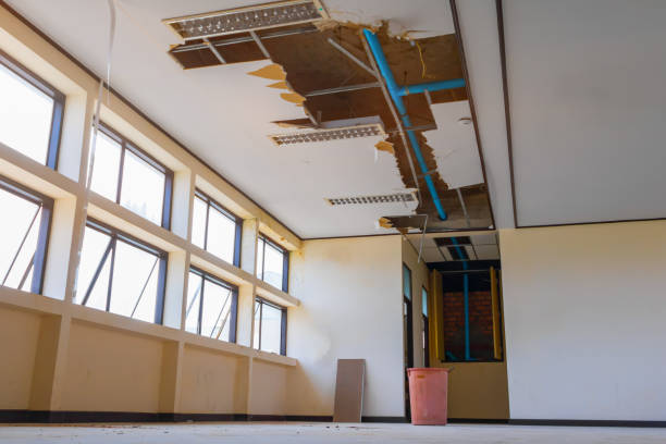 Best Commercial water damage restoration  in Mojave, CA