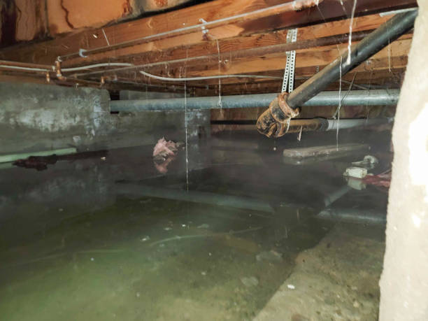 Reliable Mojave, CA Water damage restoration Solutions