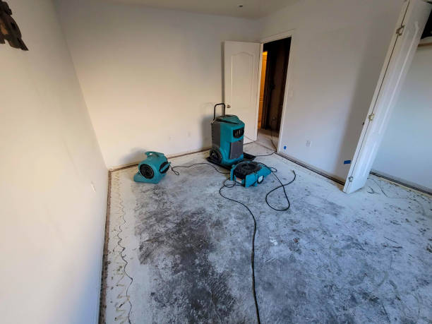 Best Local water damage restoration  in Mojave, CA