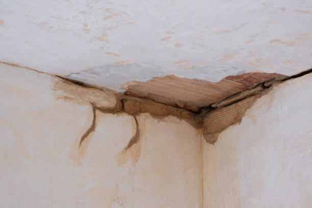 Best Flooded house restoration  in Mojave, CA