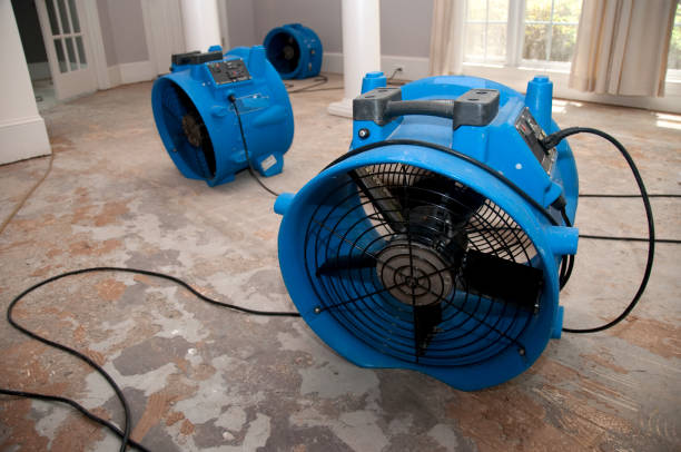 Best Ceiling water damage repair  in Mojave, CA