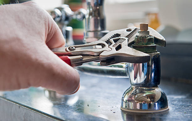 Best Mold removal after water damage  in Mojave, CA