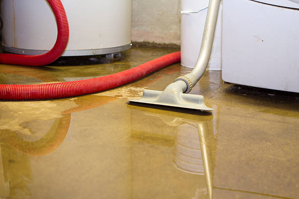 Best Flood restoration services  in Mojave, CA