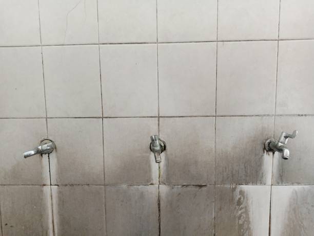 Best Water damage contractors near me  in Mojave, CA