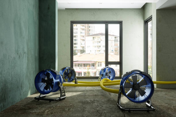 Best Basement water damage restoration  in Mojave, CA