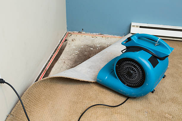 Water damage restoration experts in Mojave, CA